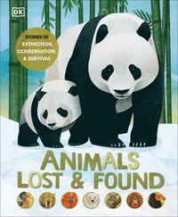 bokomslag Animals Lost and Found: Stories of Extinction, Conservation and Survival