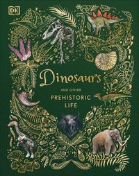 bokomslag Dinosaurs And Other Prehistoric Life