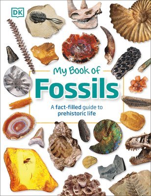 DK, Dean R. Lomax, Dk, Dean R Lomax - My Book of Fossils: A Fact-Filled Guide to Prehistoric Life, Inbunden