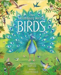 bokomslag Extraordinary World Of Birds