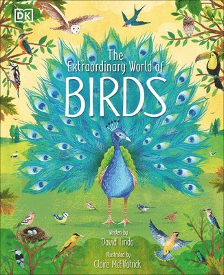 bokomslag The Extraordinary World of Birds