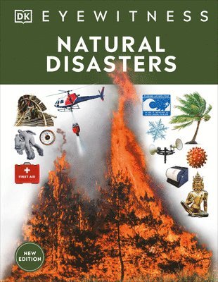 bokomslag Natural Disasters