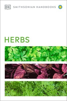 Herbs 1