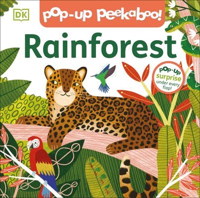 Dk - Pop-Up Peekaboo! Rainforest, Kartonnage