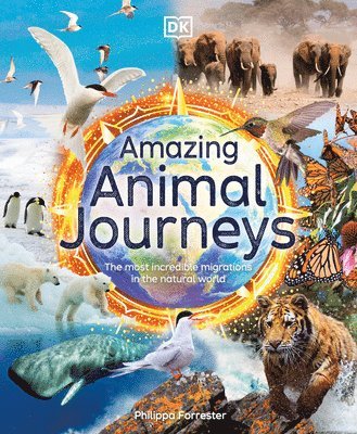 bokomslag Amazing Animal Journeys