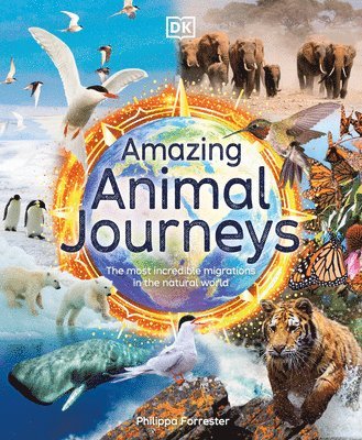 bokomslag Amazing Animal Journeys: The Most Incredible Migrations in the Natural World