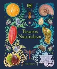 bokomslag Tesoros de la Naturaleza (Nature's Treasures): Un Viaje Inolvidable Por Los Secretos del Mundo Natural