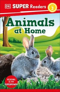 bokomslag DK Super Readers Level 2 Animals at Home