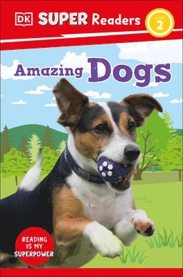 bokomslag DK Super Readers Level 2 Amazing Dogs