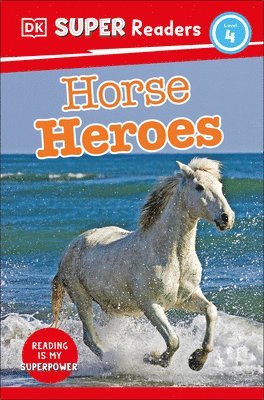 Dk - DK Super Readers Level 4 Horse Heroes, Inbunden