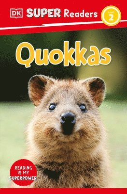 bokomslag DK Super Readers Level 2 Quokkas