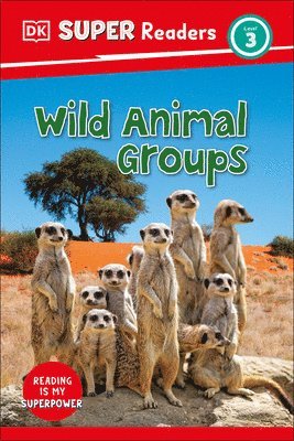 bokomslag DK Super Readers Level 3 Wild Animal Groups