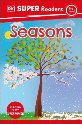 bokomslag DK Super Readers Pre-Level Seasons