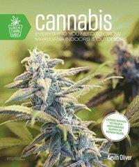 bokomslag Cannabis