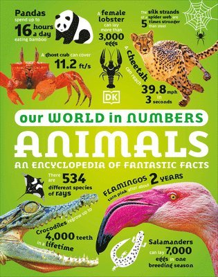 Our World in Numbers Animals 1