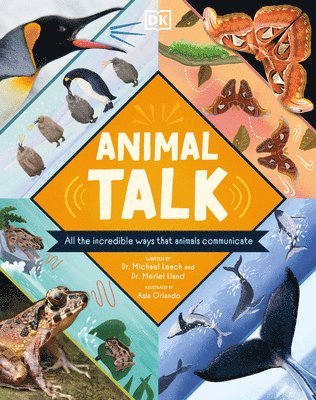 Animal Talk: All the Incredible Ways That Animals Communicate 1