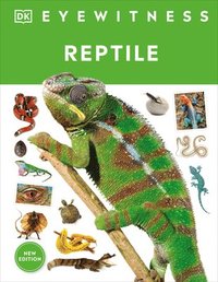 bokomslag Eyewitness Reptile