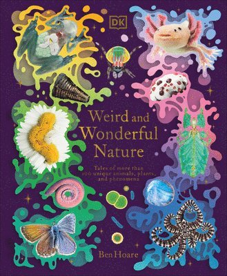 Ben Hoare - Weird and Wonderful Nature: Tales of More Than 100 Unique Animals, Plants, and Phenomena, Inbunden