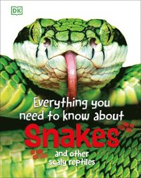 bokomslag Everything You Need to Know about Snakes: And Other Scaly Reptiles