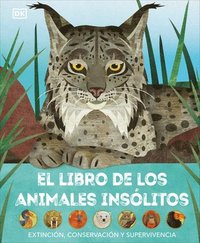 bokomslag El Libro de Los Animales Insólitos (Animals Lost and Found): Extinción, Conservación Y Supervivencia