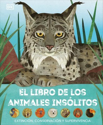 bokomslag El Libro de Los Animales Insólitos (Animals Lost and Found)