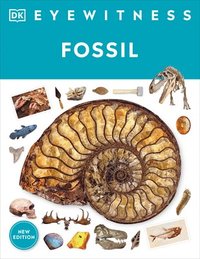bokomslag Fossil