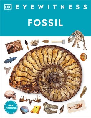 Fossil 1