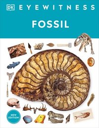 bokomslag Fossil