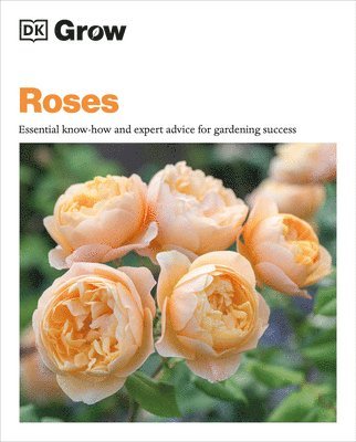 bokomslag Grow Roses: Essential Know-How and Expert Advice for Gardening Success