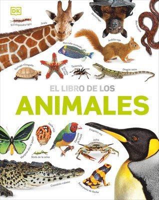 David Burnie - El Libro de Los Animales (Our World in Pictures: The Animal Book), Inbunden