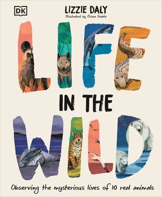 Life in the Wild: Observing the Mysterious Lives of 10 Real Animals 1