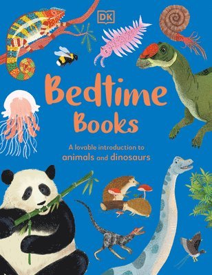 Bedtime Books: A Lovable Introduction to Animals and Dinosaurs 1