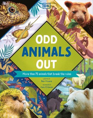 Odd Animals Out 1