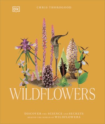 bokomslag Wildflowers: Discover the Science and Secrets Behind the World of Wildflowers