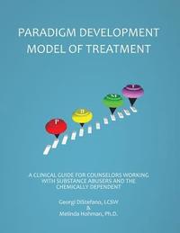 bokomslag The Paradigm Developmental Model of Treatment