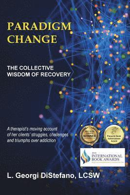 bokomslag Paradigm Change the Collective Wisdom of Recovery