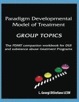 bokomslag Paradigm Developmental Model of Treatment - GROUP TOPICS: The PDMT Companion Workbook for DUI Treatment Program