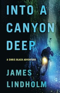bokomslag Into A Canyon Deep