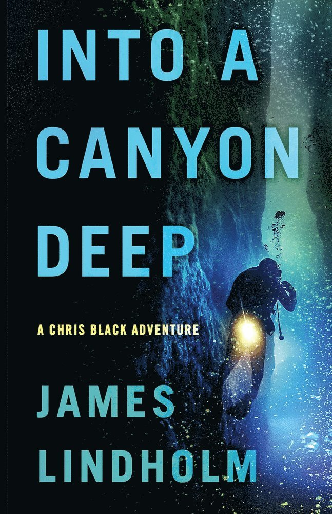 James Lindholm - Into A Canyon Deep, Häftad