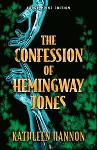 bokomslag Confession of Hemingway Jones