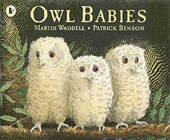 Martin Waddell - Owl Babies, Häftad