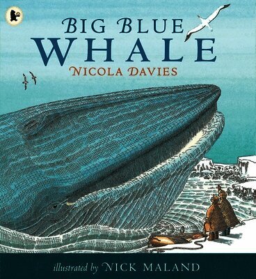 Nicola Davies - Big Blue Whale, Häftad