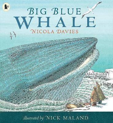 bokomslag Big Blue Whale