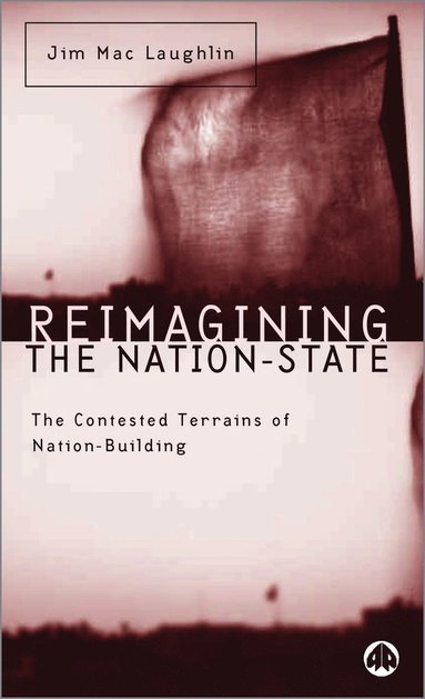 bokomslag Reimagining the Nation-State