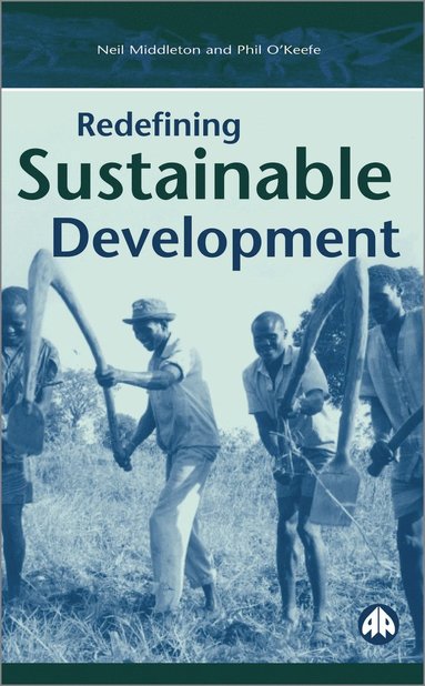 bokomslag Redefining Sustainable Development