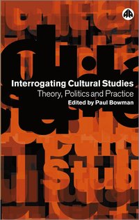 bokomslag Interrogating Cultural Studies