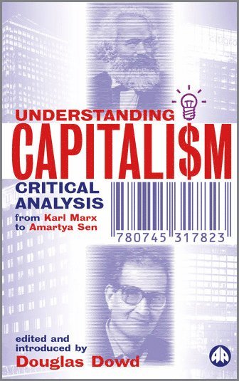 bokomslag Understanding Capitalism