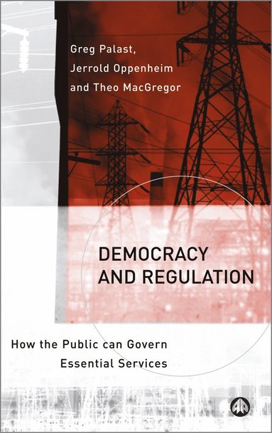 bokomslag Democracy and Regulation