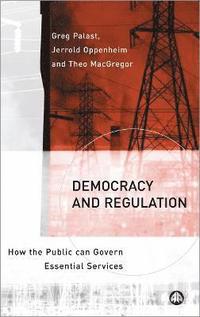 bokomslag Democracy and Regulation