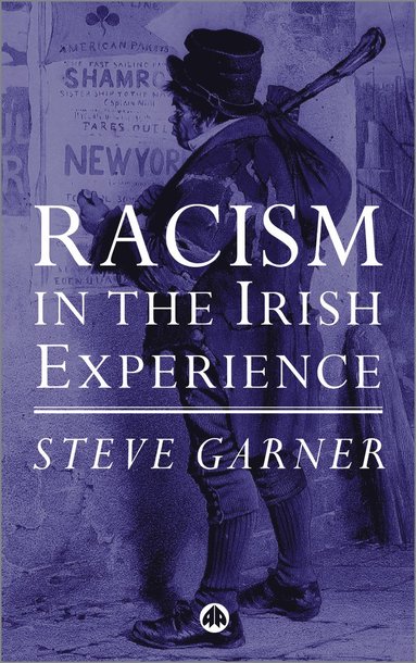 bokomslag Racism in the Irish Experience